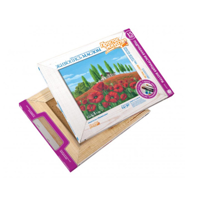 Набор для живописи 24х30см Маковое поле Фантазер 737023